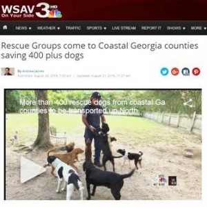 Animal Rescue Mission