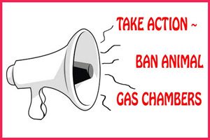 Ban Animal Gas Chambers