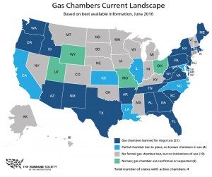 Gas Chamber