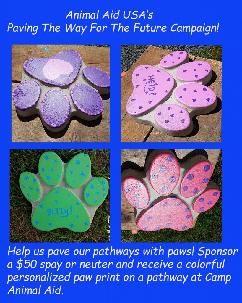 Paving The Way Paw Prints