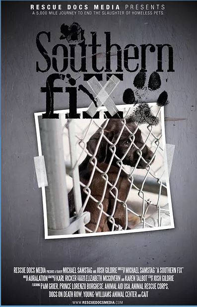 A Southern Fix Wins At The 2018 Animal Film Festival!