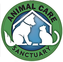 Animal Aid USA | Saving over 200 dogs a month!