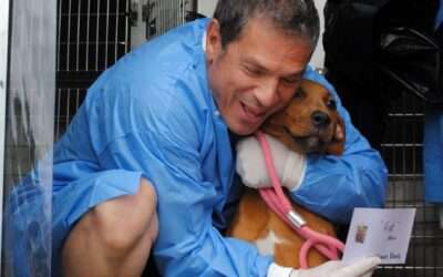 Rescue Caravan – June 2025