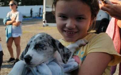 Rescue Caravan August (2) 2025