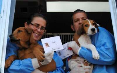 Rescue Caravan – August 2025