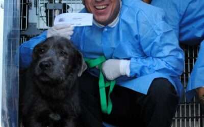 Rescue Caravan / September 2025