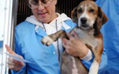 Rescue Caravan / November 2025