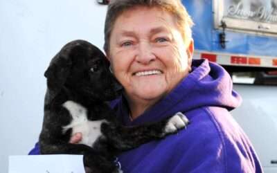 Rescue Caravan – December 2025