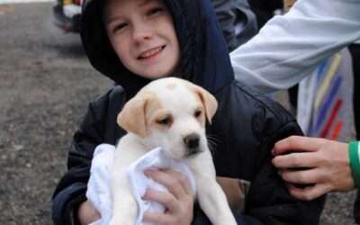 Rescue Caravan / January 2026